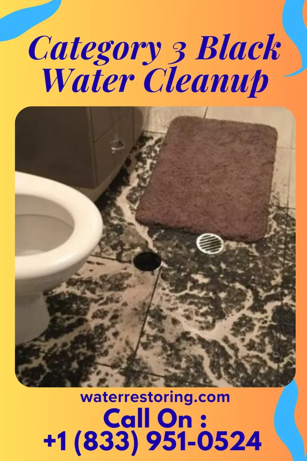 Category 3 Black Water Cleanup in Winnsboro, SC