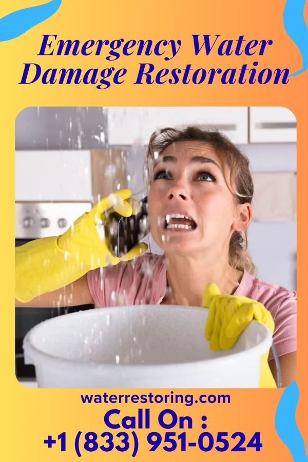 Emergency Water Damage Restoration in Winnsboro, SC