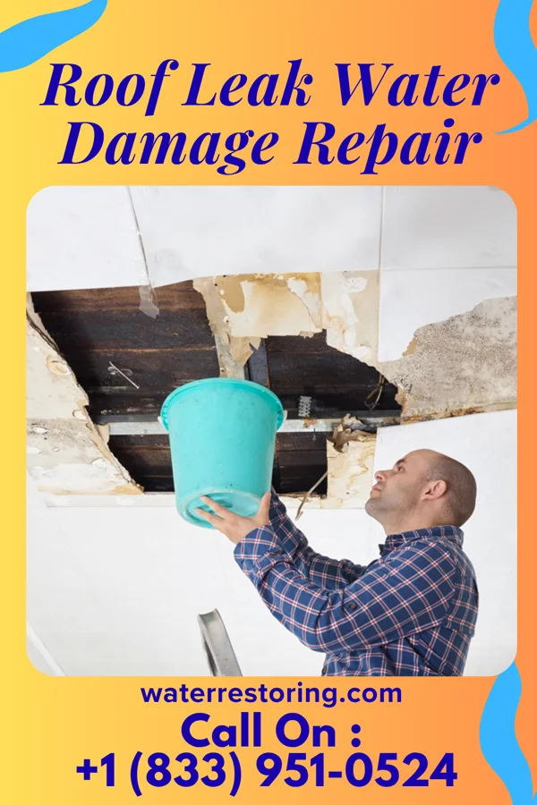 Roof Leak Water Damage Repair in Winnsboro, SC