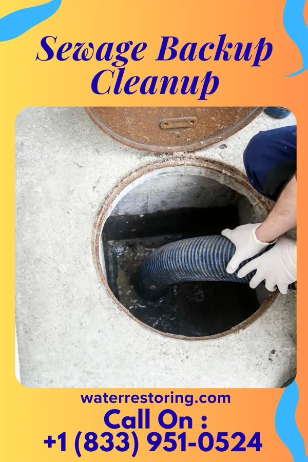 Sewage Backup Cleanup in Winnsboro, SC